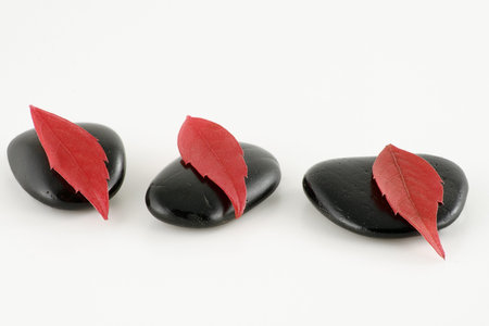 Three black stones, and three red leaves arranged on a white background