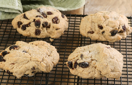  home made rock cakes on a cooling rack                            の写真素材