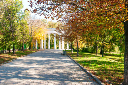 Autumn park and sun raysの写真素材