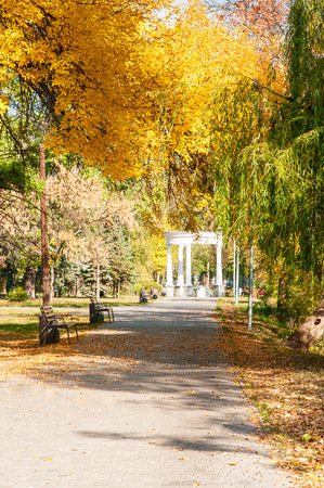 Autumn park and sun raysの写真素材