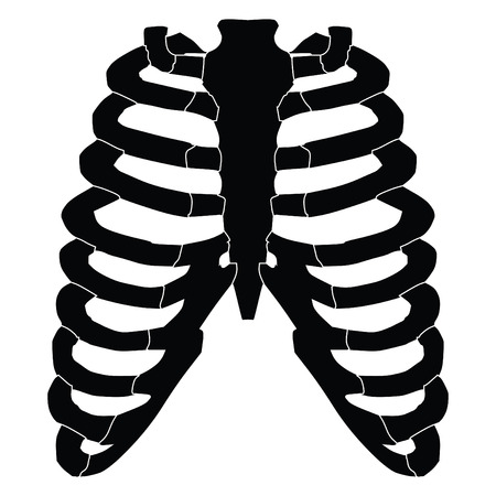 A black and white silhouette of a set of ribsのイラスト素材