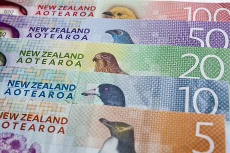 Pile of New Zealand currency laying flat on tableの写真素材