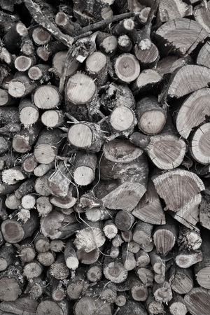 Firewood stacked against wall for winter fireの写真素材