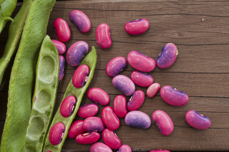 Freshly harvested Scarlett runner beans (Phaseolus coccineus)の写真素材