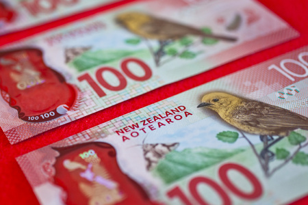 New Zealand currency. Hundred dollar notes on red backgroundの写真素材