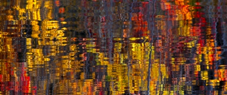 Autumn leaves reflecting in the waterの写真素材