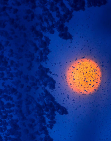 Frosty winter pattern at a window glass, closeup texture with a yellow street light at twilight of...