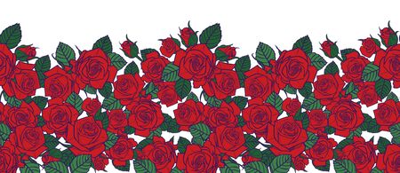 Vector red roses and leaves with purple outlines with white background horizontal border pattern. Great for greeting cards and romantic posters.のイラスト素材