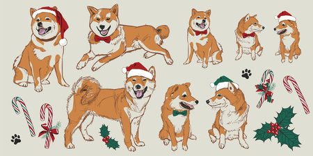 Vector beige shiba inu Christmas dogs elements with santa hats, holly and candy canes. Perfect for greeting card or pet shop visuals.のイラスト素材