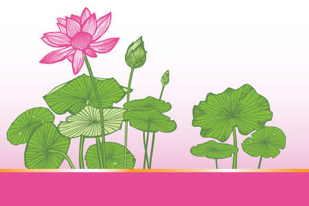 Vector pink lotus tropical flowers and green leaf illustration greeting card layout. Botanical illustrations for greeting cards and graphic design projects.のイラスト素材