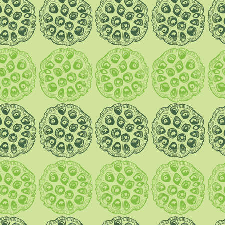 Vector green rows of lotus seed pods stripes 01 repeat pattern. Suitable for textile, gift wrap and wallpaper.のイラスト素材