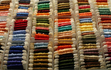 Embroidery Floss in a sorting box.