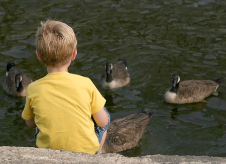 A boy feeding the geese.の写真素材
