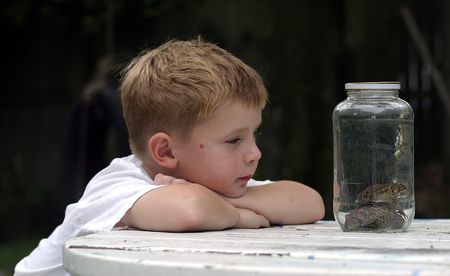 A little boy examining to toads in a jar.の写真素材