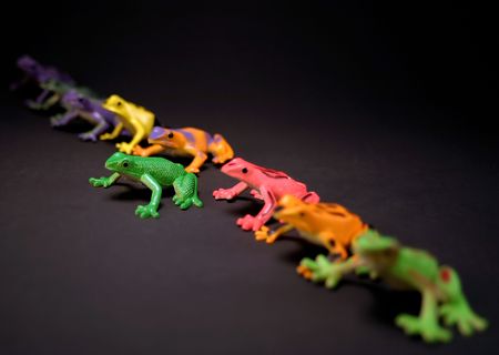 Toy frogs in a line.  Selective depth, and postion make the green frog stand out from the rest.の写真素材