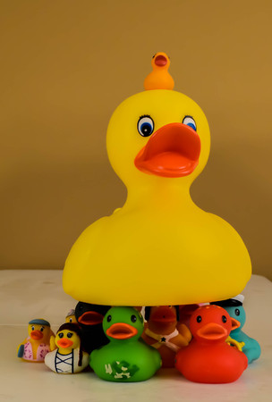 Yellow Rubber Ducksの写真素材