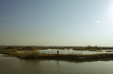 Farmer walking through a fieldの写真素材