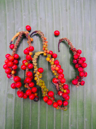 Fresh and dried pepper seeds make for pepper powder.の写真素材