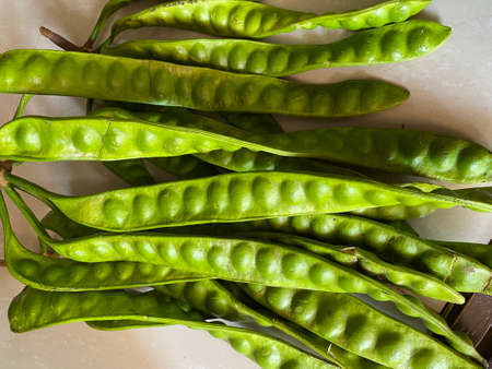 tropical stinking edible beans or bitter bean on white background Parkia Speciosa.の写真素材