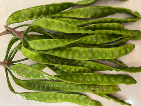 tropical stinking edible beans or bitter bean on white background Parkia Speciosa.の写真素材