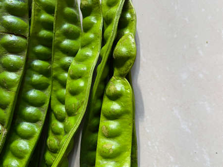 tropical stinking edible beans or bitter bean on white background Parkia Speciosa.の写真素材
