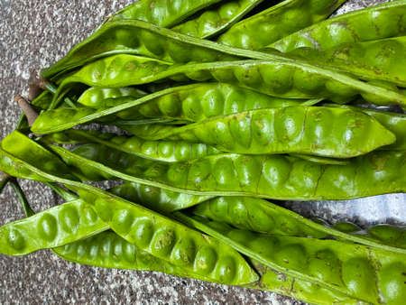 tropical stinking edible beans or bitter bean on white background Parkia Speciosa.の写真素材