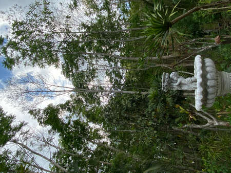 Cupids fountain in the garden against the background of the trees. Beauty and decor in vintage style. Stone fountain with marble statue of cupid in summer and green trees.の写真素材