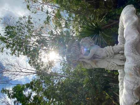 Cupids fountain in the garden against the background of the trees. Beauty and decor in vintage style. Stone fountain with marble statue of cupid in summer and green trees.の写真素材