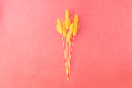 Beautiful dryflower on the board
