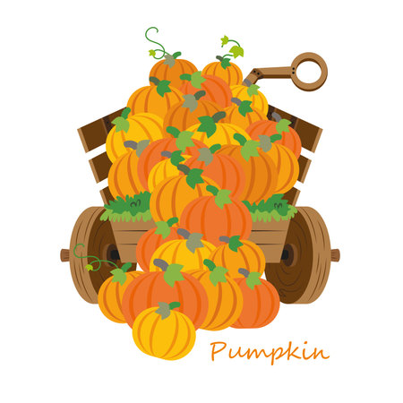 Halloween pumpkins illustration.のイラスト素材