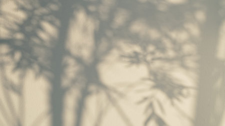 Shadow overlay effect for photo and mockup. Natural light casts shadows from tree branches on white...