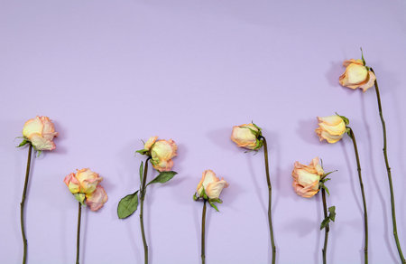 lawn of pink roses on purple