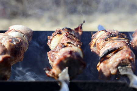 traditional juicy kebab on skewers and on the grillの写真素材