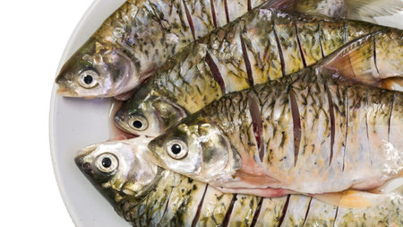 carp fish in dish on white background