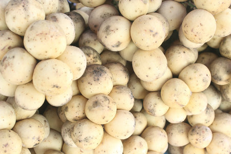 fresh wollongong in market thailand