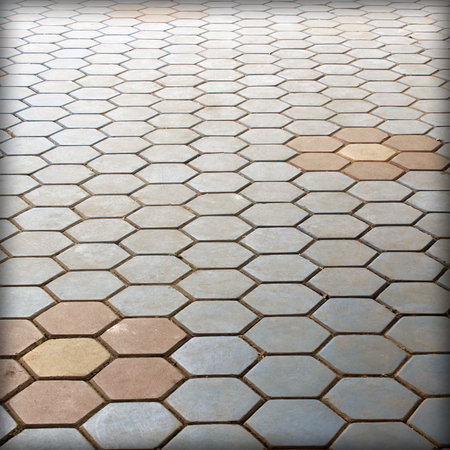 Paving Hexagon brick walkway