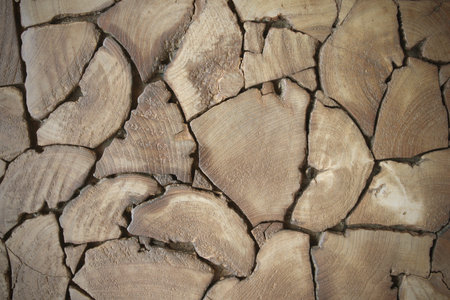 Texture of wood background closeup