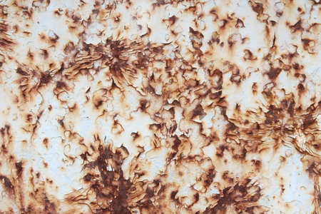 rust on a metal sheet, background texture