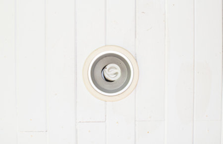 Ceiling Light