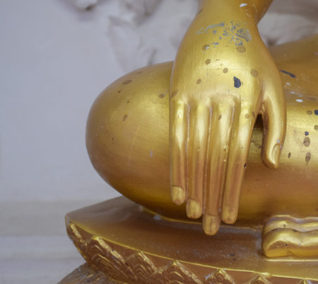 Buddha hand Imageの写真素材