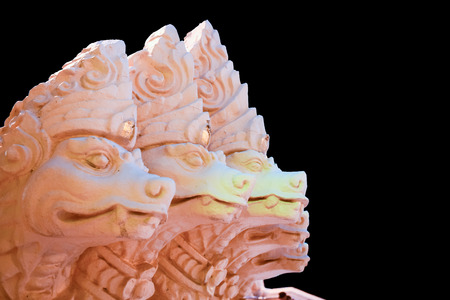 snake imageの写真素材