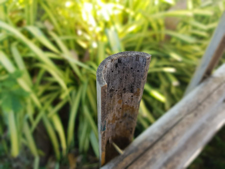 bamboo fence