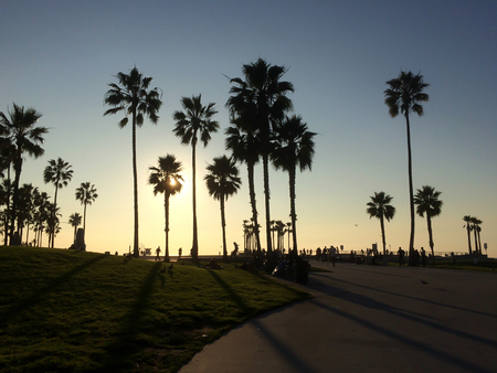 Venice Beach , California, United States of Americaの写真素材
