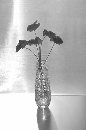         flower in a crystal vase                       の写真素材