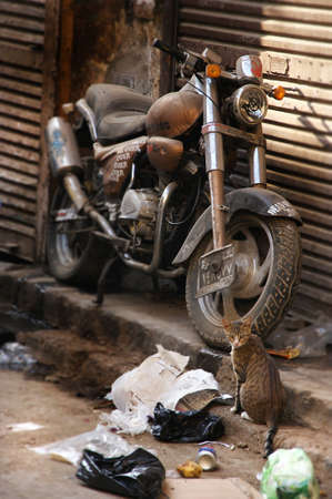 Strange still life on the street.のeditorial素材