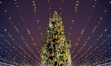 Holiday lights of the city Christmas tree.の写真素材