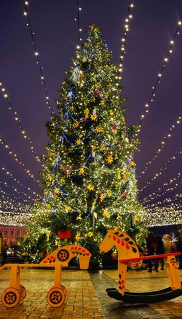 Holiday lights of the city Christmas tree.の写真素材