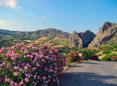Landscape Mountains with the ruins of the fortress of Derik in Turkey.の写真素材