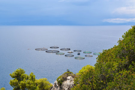 The commercially fish farms in fish ponds.