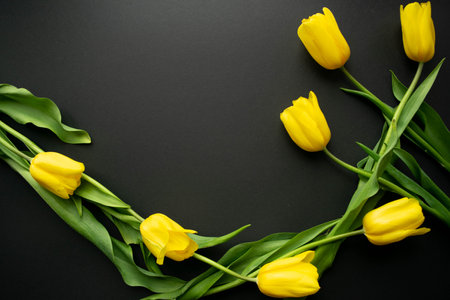 Lovely fresh yellow tulip flowers are arranged in a Golden or Fibonacci spiral shape on a black paper background. Selective focus. Greeting card. Flat lay. Copy space, template for lettering or text.の写真素材